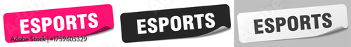 esports sticker. esports sticker set on white background