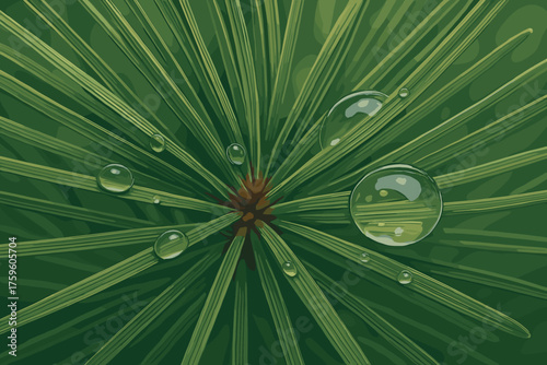 Vector illustration fine needle cluster raindrops macro tiny pine surface