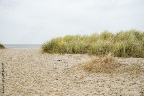 Fototapeta Naklejka Na Ścianę i Meble -  A beach on North Sea in Germany with a grassy area leading to the water