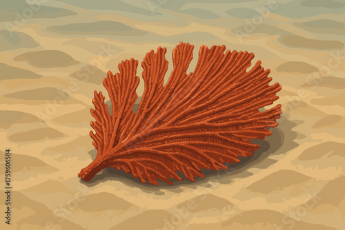 Ridges illustration coral lying seabed sand subtle leaf from vector filtered