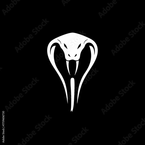 Fierce white cobra head illustration with prominent fangs on a black background. Dangerous snake predator symbol, venomous reptile graphic.