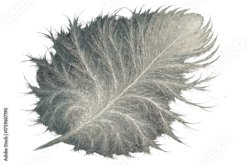 Magnified branching vector feather illustration fibers close fluffy soft glowing down