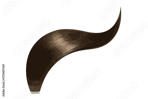 Illustration along surface single strand natural reflecting hair vector curved light