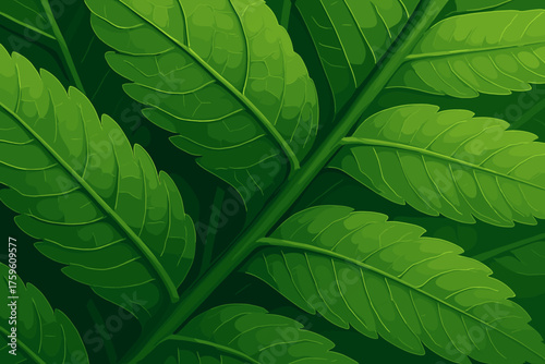 Vector veins vein fern layers bold green overlapping photorealistic leaf illustration structure