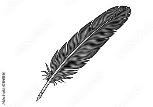 Vintage feather quill pen engraving illustration