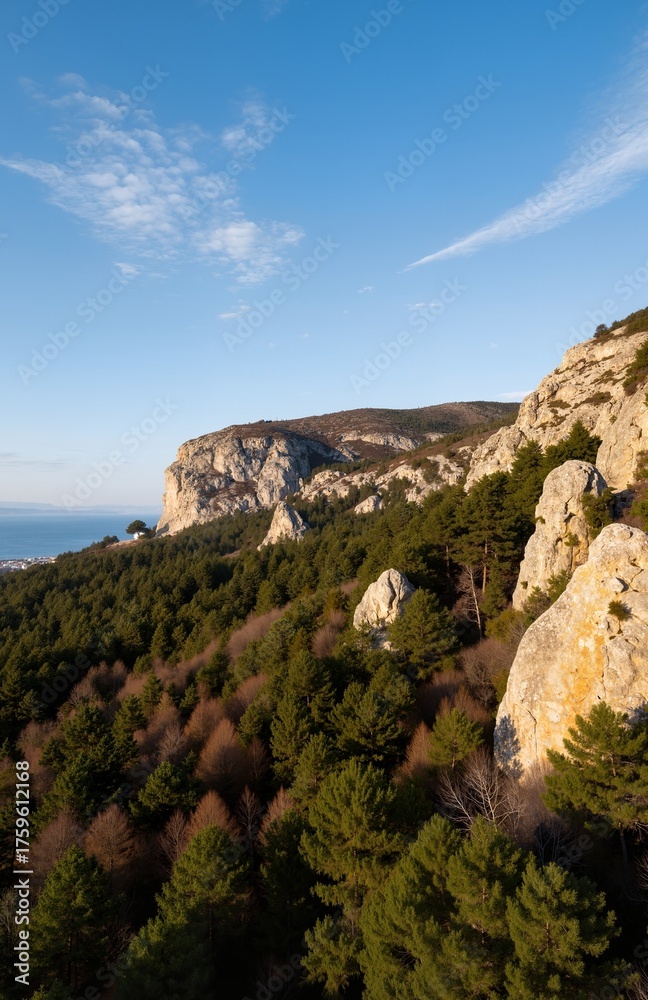 custom made wallpaper toronto digitalview of the mountains