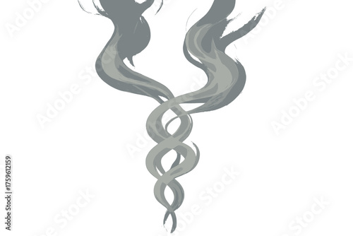 Gradients spirals intertwining vector edges fading illustration twin photorealistic smoke