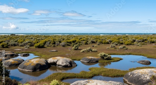 Wallpaper Mural landscape with cows Torontodigital.ca