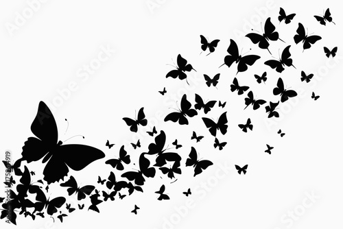 Set of butterfly silhouettes with flowers and nature elements vector illustration