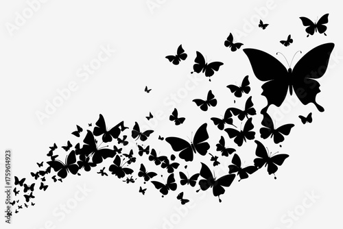 Black and white butterfly vector illustration with floral and nature elements