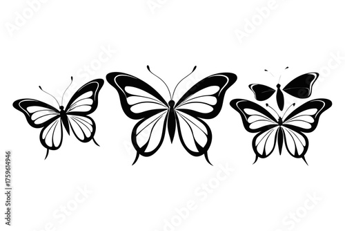 Black and white butterfly vector illustration on white background