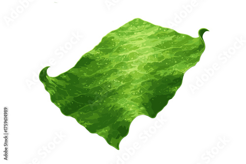 Sheet curled filtered edges algae light glowing vector underwater illustration
