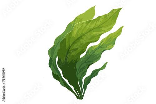 Motion swaying textures underwater translucent algae illustration sheet effect vector realistic