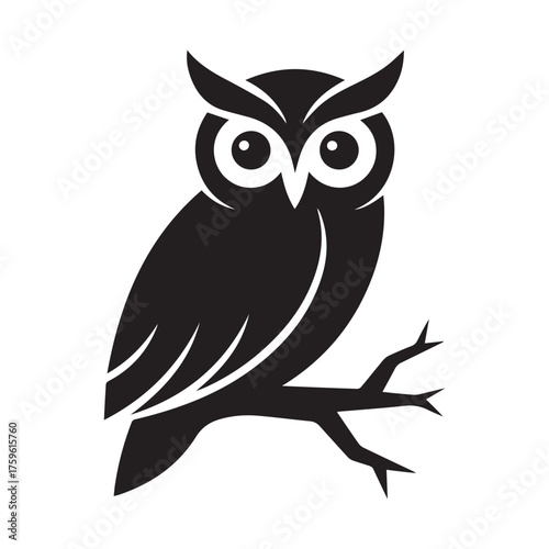owl on branch