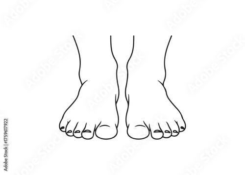 Vector art of human feet, front view of two bare feet