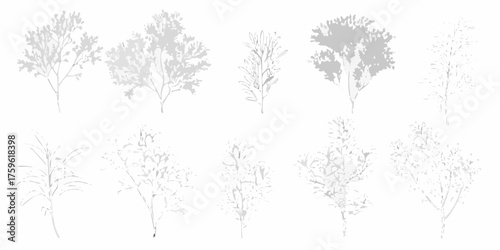 Collection of ten delicate grey watercolor botanical illustrations of trees and plants on a white background