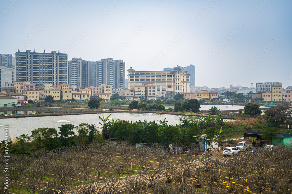 Fototapeta premium Between Guangzhou, Canton, and Macao, China, 3 March 2025: view from train showing orchards, aquaculture ponds and urban skyline. Urban expansion over rural land in the Pearl River Delta.