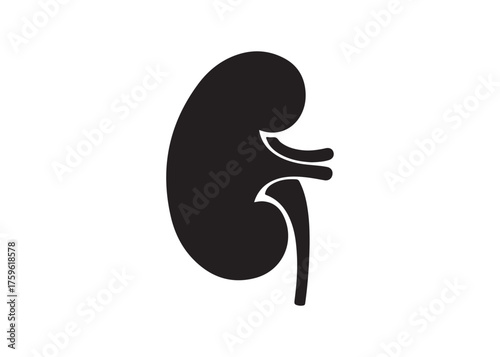 Vector art of human kidney icon, vector illustration design