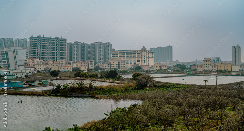 Fototapeta premium Between Guangzhou, Canton, and Macao, China, 3 March 2025. Panoramic view from a moving train across the Pearl River Delta showing rural ponds and new residential towers under cloudy sky.