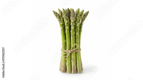 Fresh Green Asparagus Bunch Tied with Twine, Isolated transparent background, Healthy Cooking Ingredient.