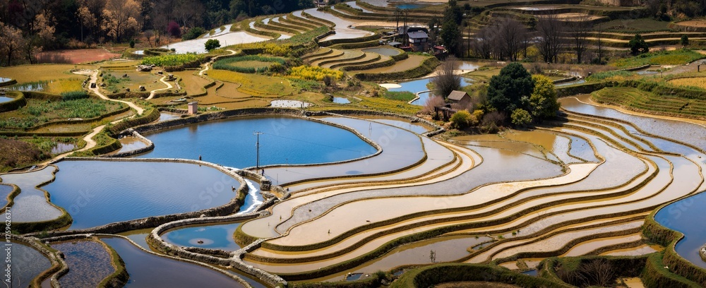 custom made wallpaper toronto digitalpanorama of the river