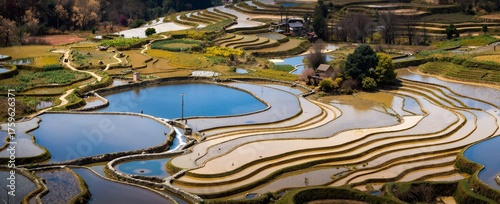 Wallpaper Mural panorama of the river Torontodigital.ca