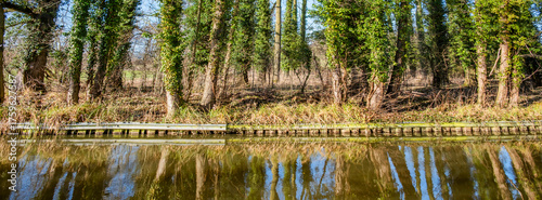Wallpaper Mural stratford canal warwickshire england uk Torontodigital.ca