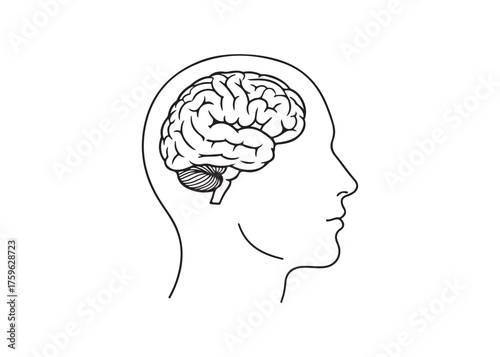 Vector art of human brain in head, mind and intelligence