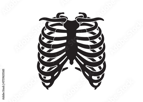 Vector art of black silhouette of a rib cage for medical use