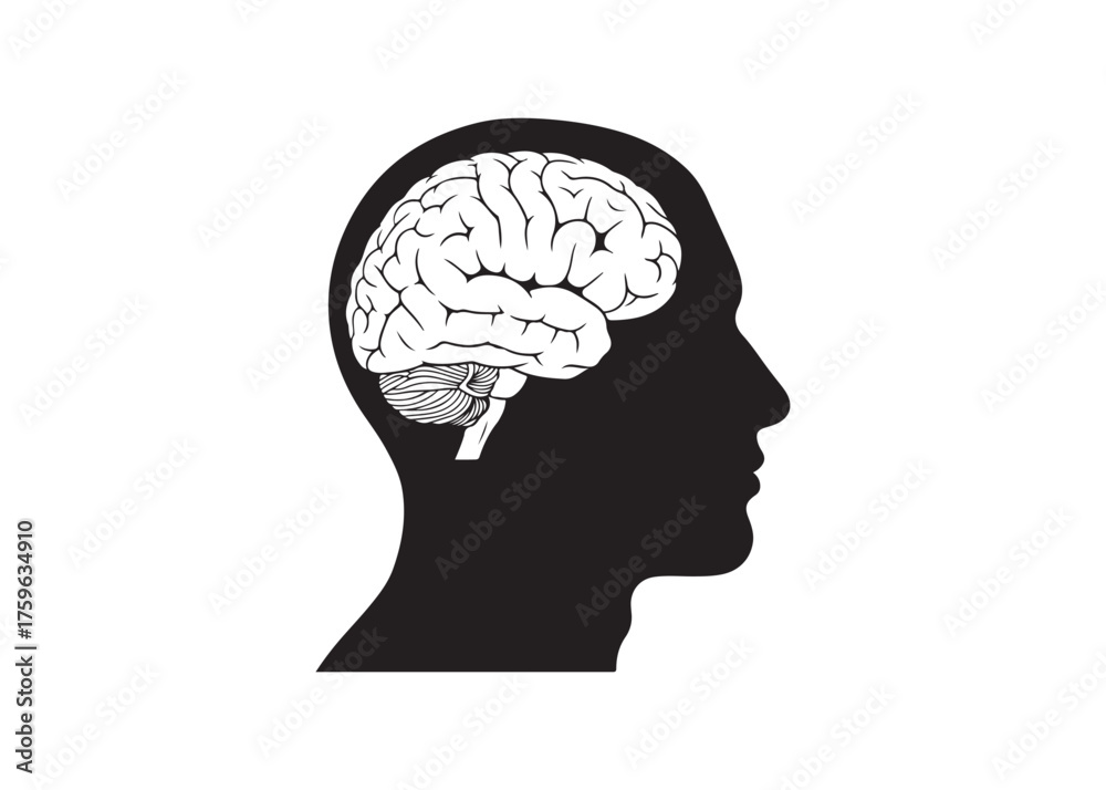 Obraz premium Vector art of human head silhouette with brain, intelligence