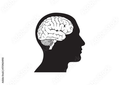Vector art of human head silhouette with brain, intelligence