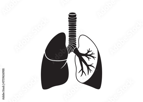 Vector art of human lung anatomy for medical and science use