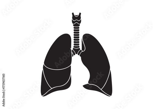 Vector art of human lungs silhouette for medical or educational use