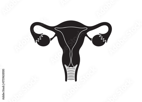 Vector art of black silhouette of a uterus for medical use
