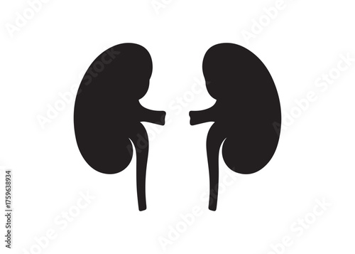 Illustration of two human kidneys in black color