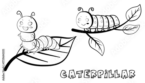 Two Caterpillars Outline Vector on Leaf, Gardening and Ecology Design