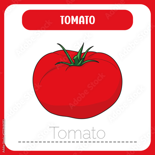 WRITING CARD VEGETABLE ILLUSTRATION EDITION tomato