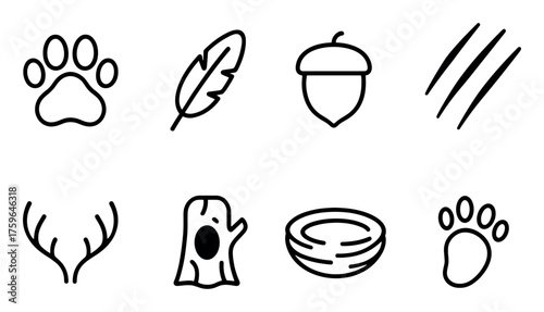Forest Symbols Icon Set