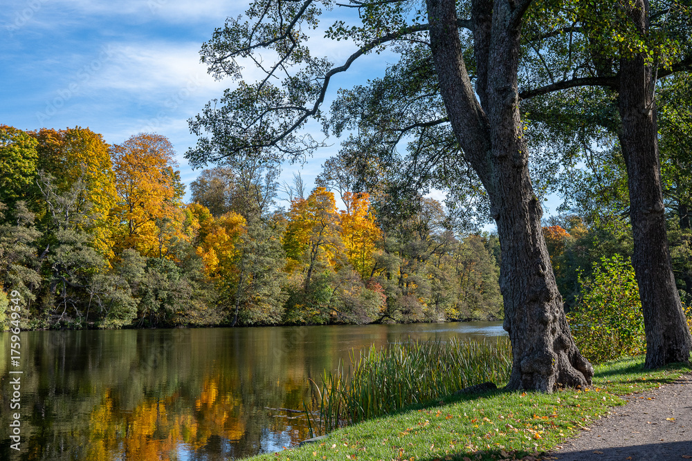 Naklejka premium View from waterfront park Åbackarna across Motala Stream towards Folkparken during autumn in mid-October 2025 in Norrköping, Sweden
