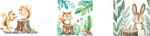 A cute squirrel and flowers in a forest are the subjects of a watercolor illustration