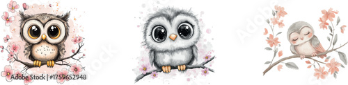 A cute owl and flowers are the subjects of a watercolor illustration set in a forest