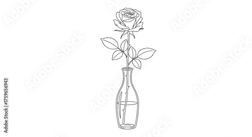 A delicate sketch of a single rose in a glass bottle vase.