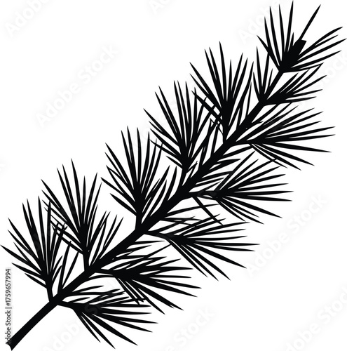 Pine branch silhouette Black silhouette of a pine branch with detailed needles 3