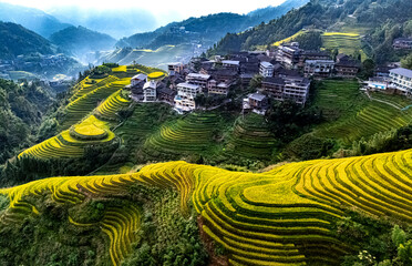 Leinwandbilder Guilin Longsheng Reisterrassen in Guangxi China  © monticellllo