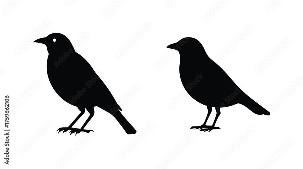 Obraz premium Two silhouette birds perched on white displaying their distinct shapes and forms in black