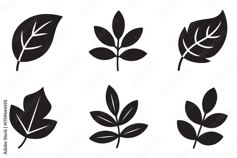 Obraz premium Set of different leaf silhouettes isolated on white background, simple botanical foliage icons collection 