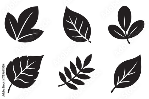 Set of different leaf silhouettes isolated on white background, simple botanical foliage icons collection
