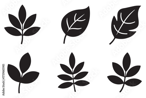 Set of different leaf silhouettes isolated on white background, simple botanical foliage icons collection
