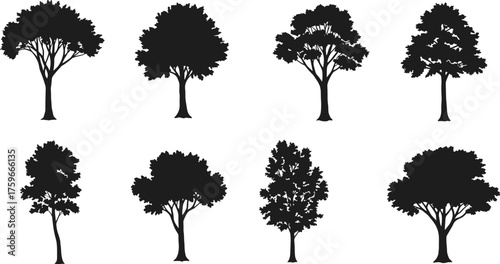 Collection of tree silhouettes set, black isolated trees of different shapes and sizes, vector illustration for landscape and design use