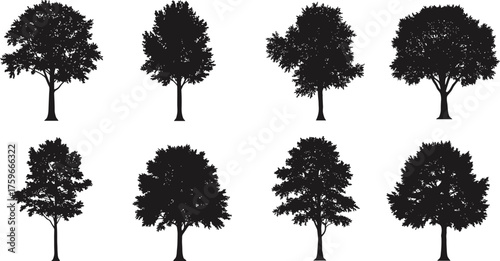 Set of realistic tree silhouettes isolated on white background, detailed vector illustration for landscape, forest, park, and nature design projects